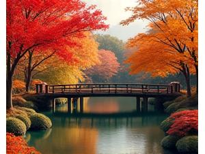 赤や黄色に色づいた紅葉が燃えるような秋の日本庭園