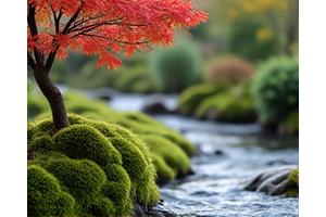 伝統的な日本庭園のデザイン