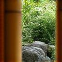 茶庭の視線制御